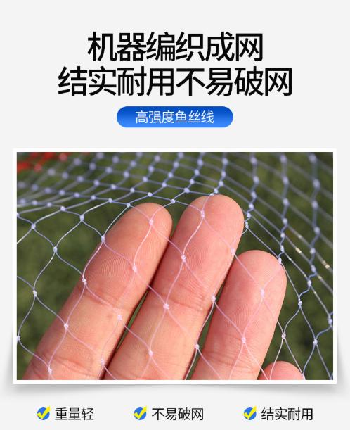 新手钓鱼防偷钓神器,野钓实用的控鱼器