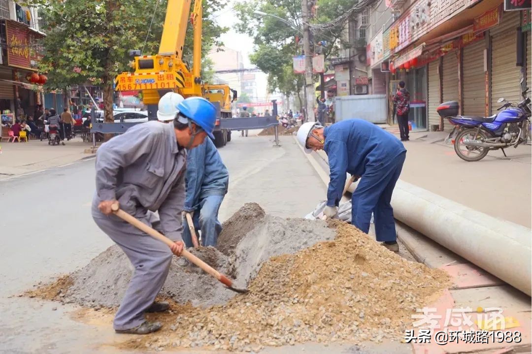 未来可期！向你展现不一样的毛陈