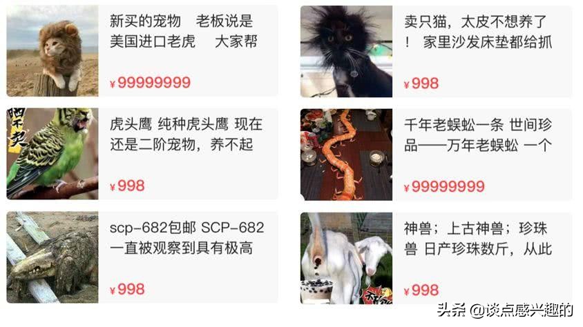 闲鱼上买神兽靠谱吗,闲鱼神兽