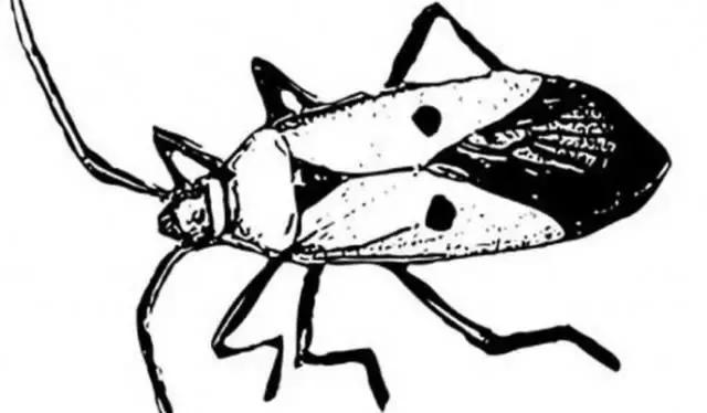 金融与生活知识分享,生活中常见的盐知识讲解视频