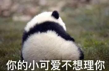 沙面早茶本地人推荐,沙面粤菜馆