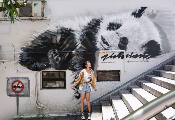 坐高铁怎么去香港最简单方便,目前哪些地方可以坐高铁去香港