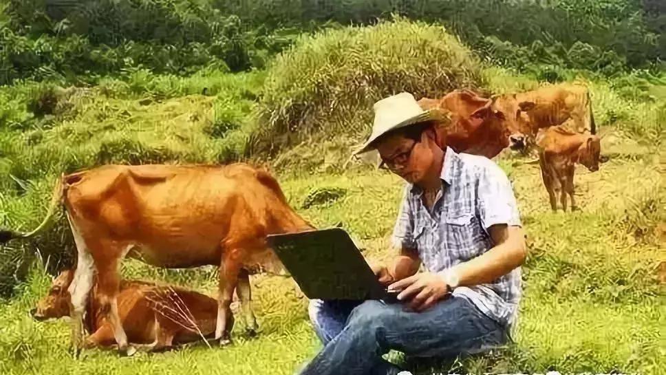 农村返乡创业适合做什么,回农村创业你最大的顾虑