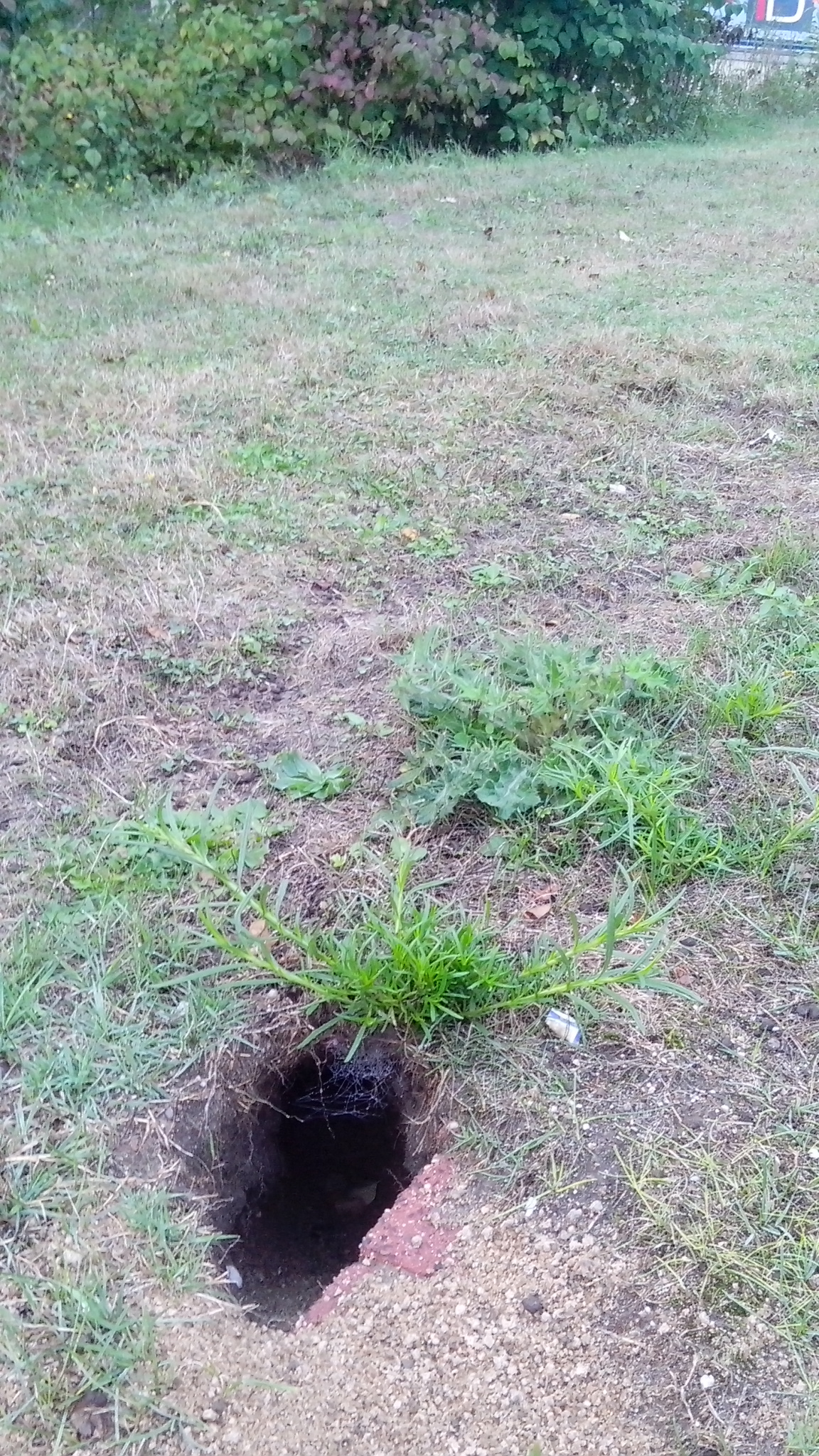 德国男人的真正面目,德国男人严谨的习惯