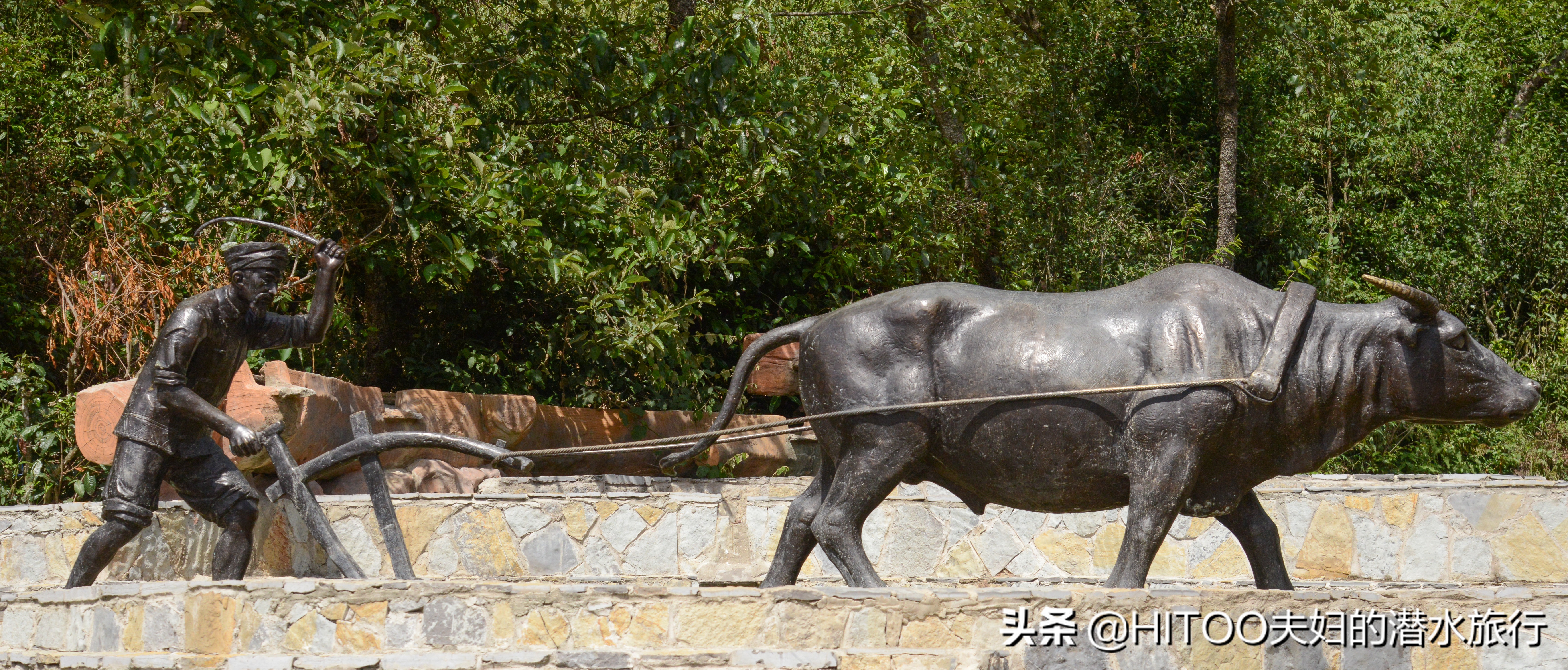 自驾元阳梯田旅游攻略时间,元阳梯田自驾游玩攻略路线