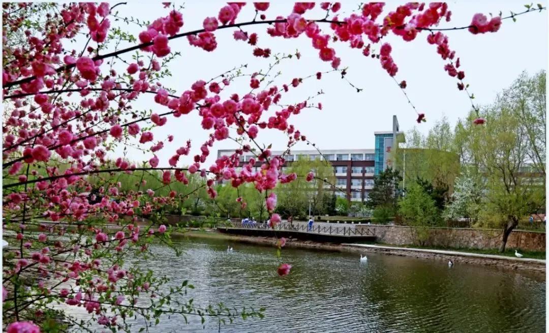 长春占地面积最大的高中,长春树仁高中和文苑高中哪个更好