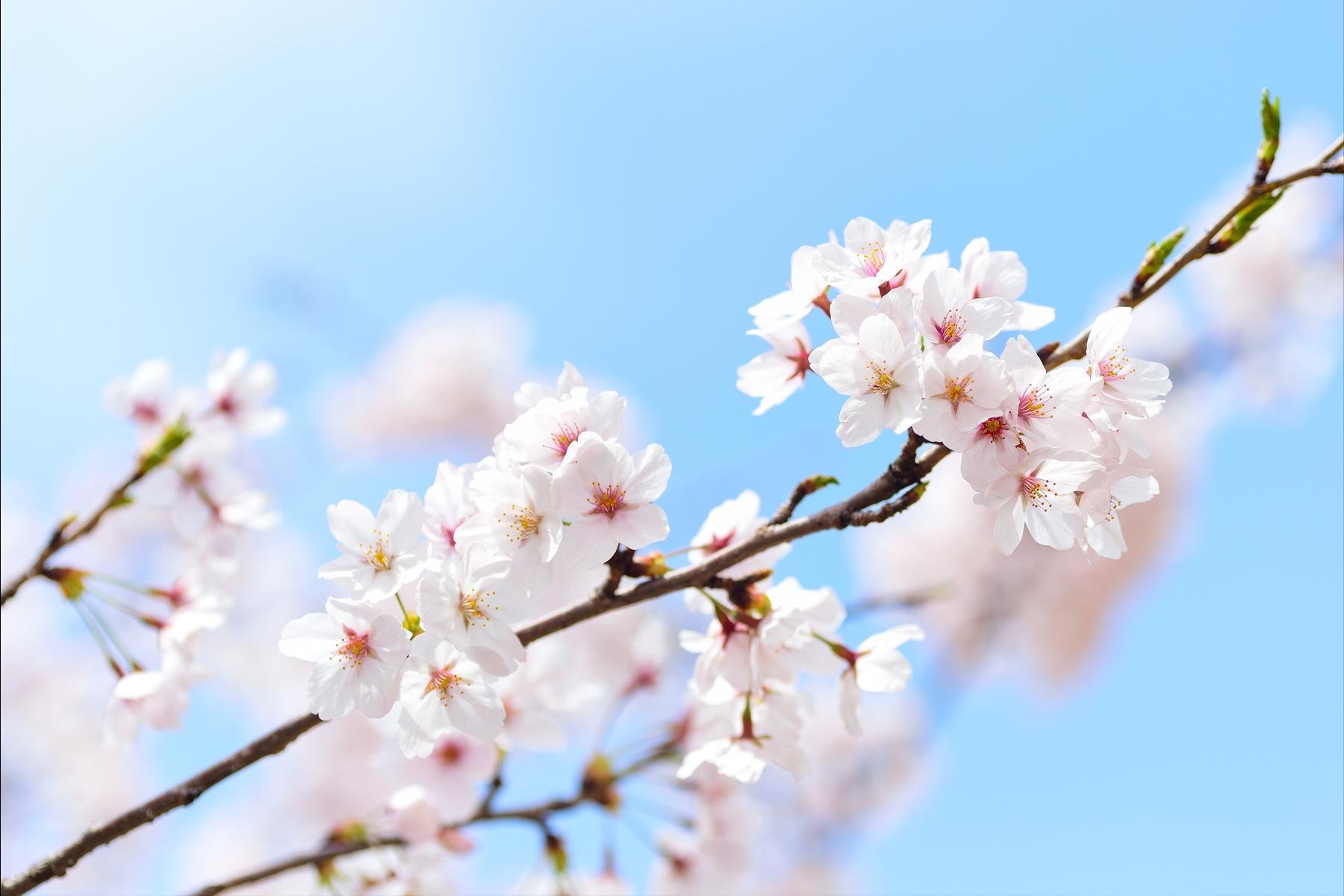 教你该如何搞掂12星座的坏脾气,十二星座里面脾气暴躁的四大星座