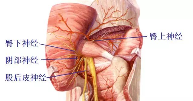 颈椎腰椎疾病ct及mri诊断,腰椎ct可以发现肠部病变吗