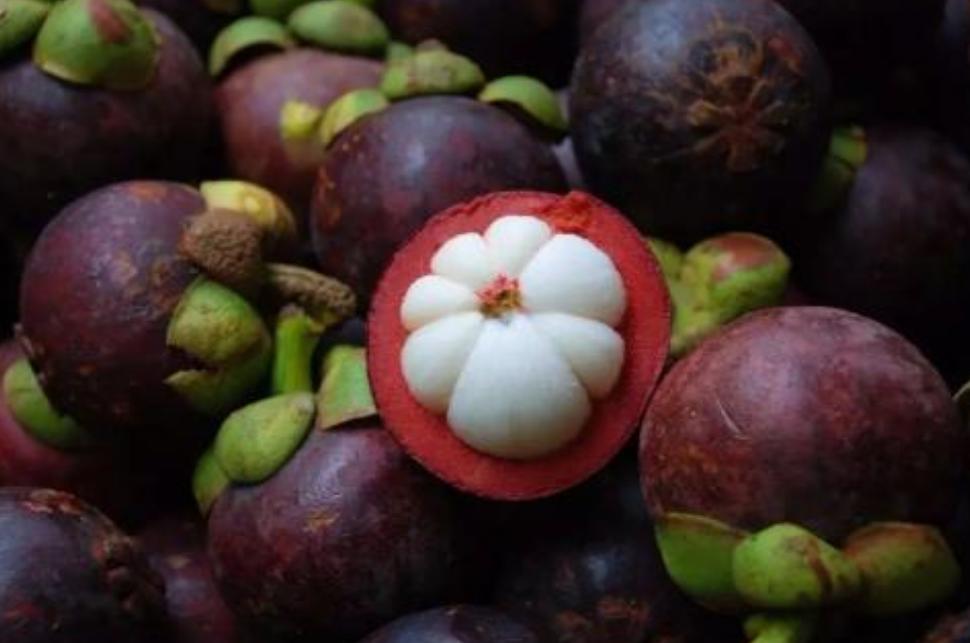 山竹被称为“水果皇后”，养生专家却提醒：以下几种人群不要吃！