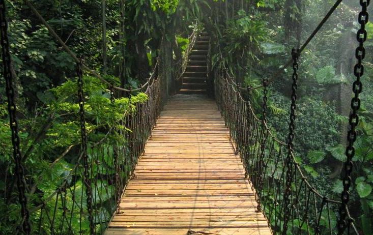 青青世界深圳好玩吗,深圳青青世界要门票吗