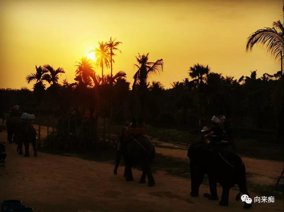 泰国一人行芭提雅跳伞,泰国三人行歌曲
