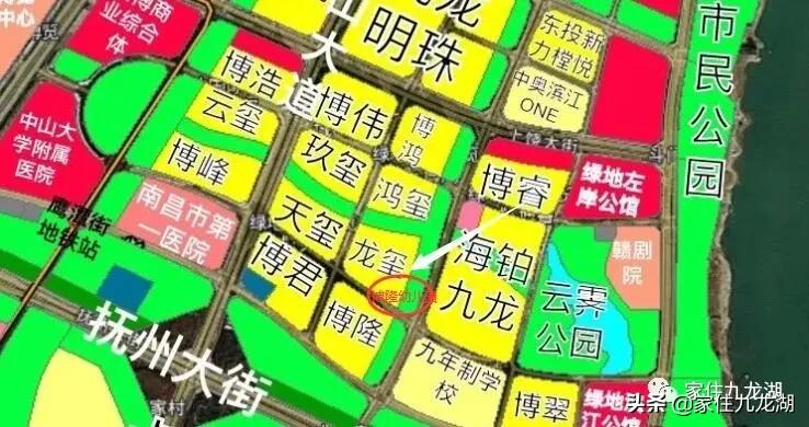 九龙湖有私立幼儿园,九龙湖什么幼儿园最好