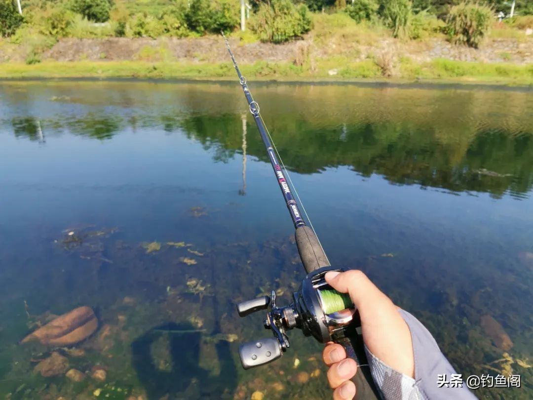 路亚钓黑鱼打不远怎么办,夏季黑鱼只追不咬饵什么原因