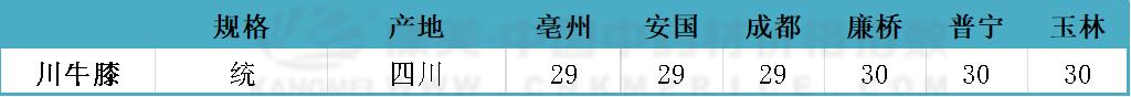 川牛膝后市分析,2023年川牛膝行情分析