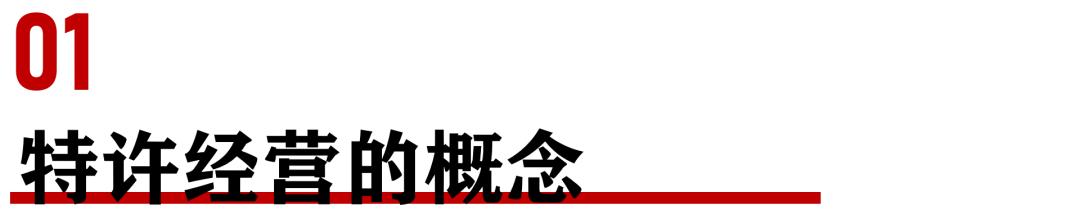 特许经营体系手册,特许经营战略方案