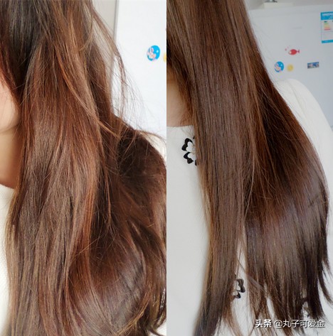 袁咏仪防掉发洗发水,袁咏仪去屑最好的洗发水