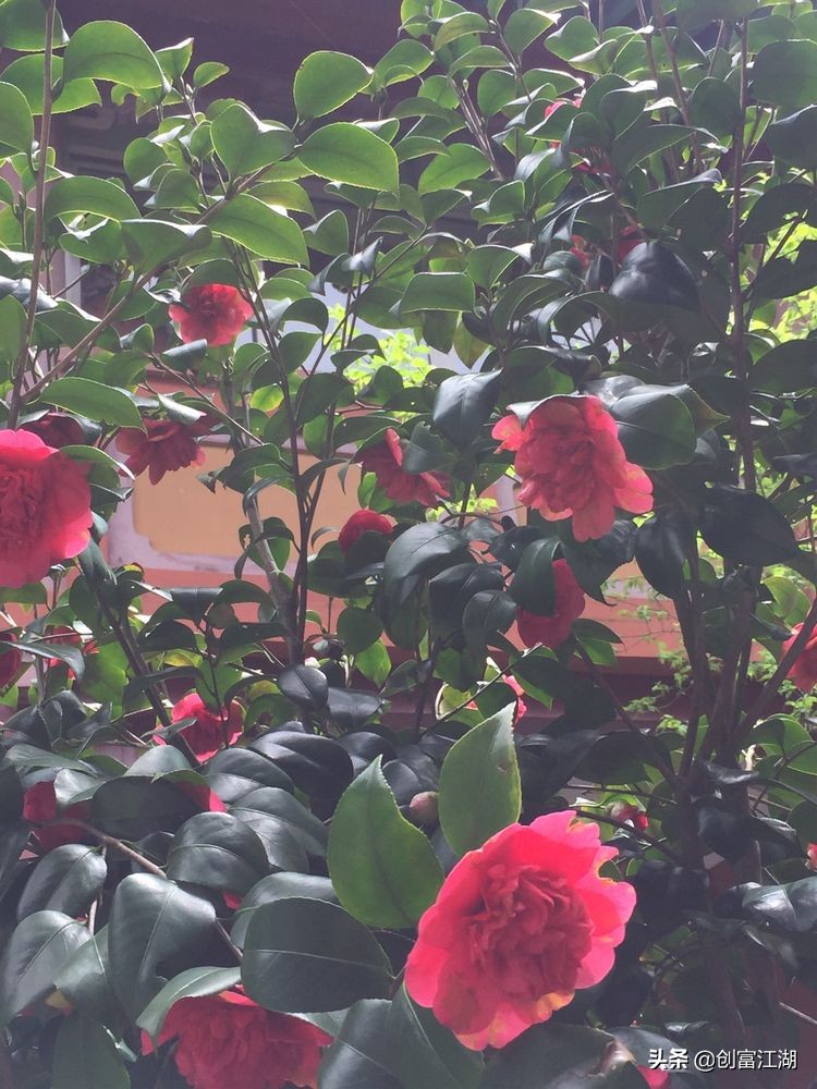 黄梅佛教在中国地位,黄梅禅宗之源