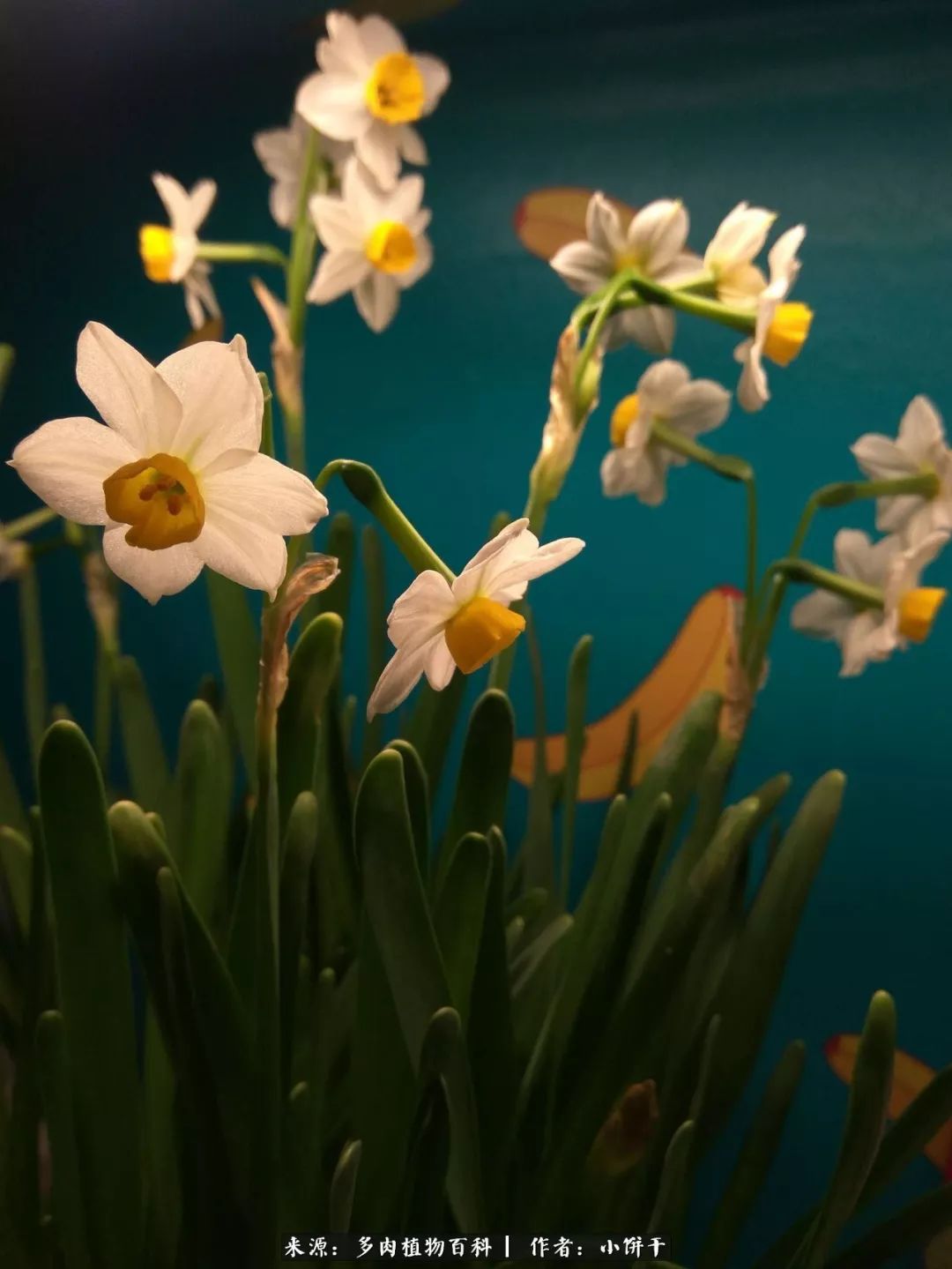 无肉不欢的肉瘾少女，日日沉迷于美色无法自拔！