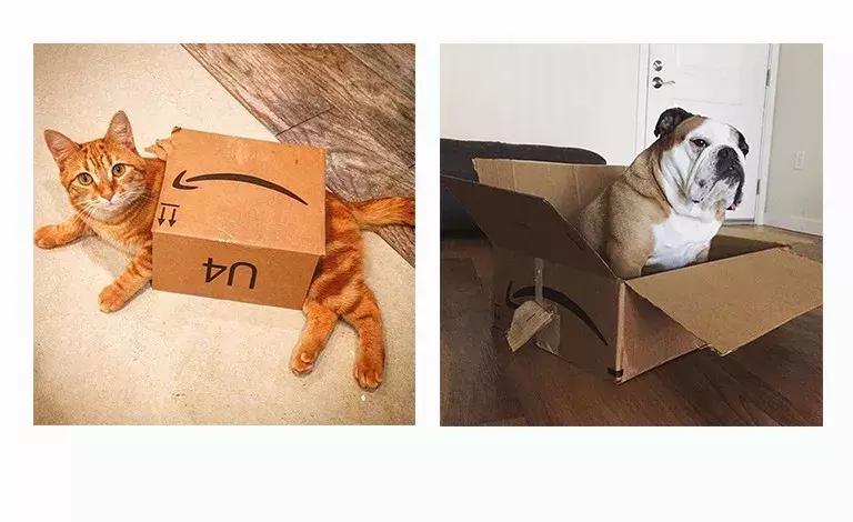 亚马逊fba收费如何计算,亚马逊fba配送费最新计算方法