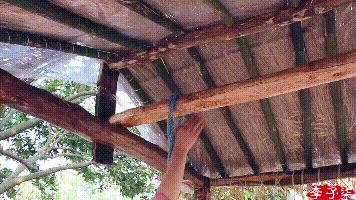 她凭“中华之美”圈粉海外，却被国内网民骂成筛子