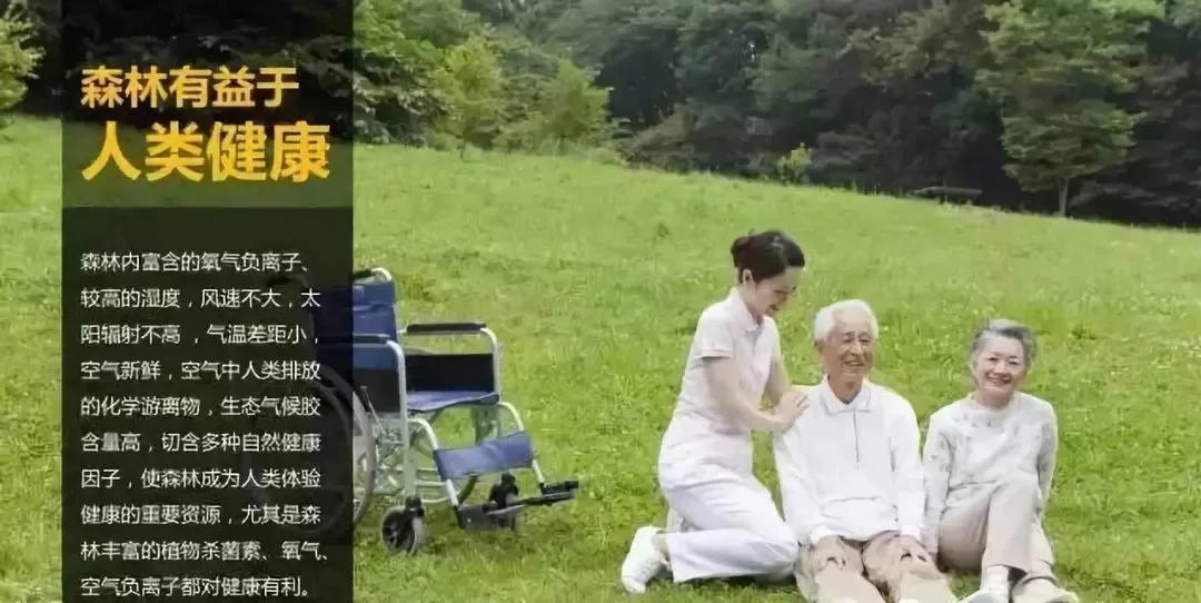 想住民宿应该在哪找,民宿应该怎么做