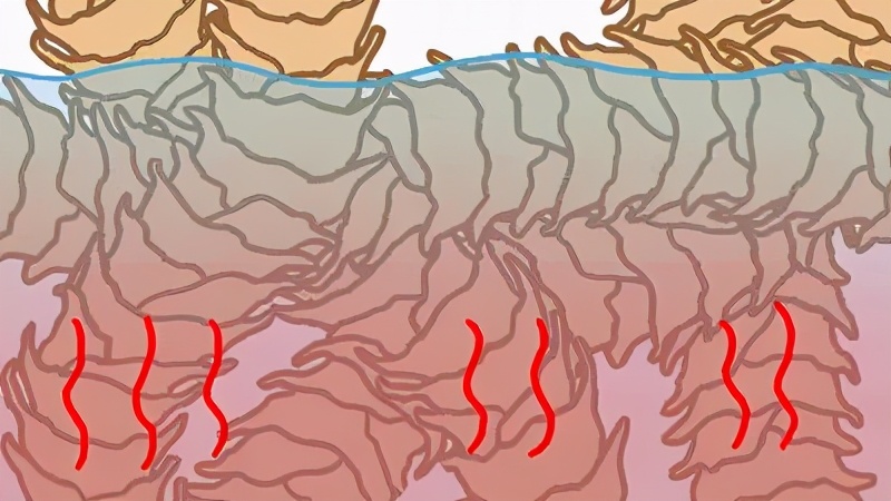 毛衫洗了缩水怎么恢复,缩水的毛衫怎么恢复正常