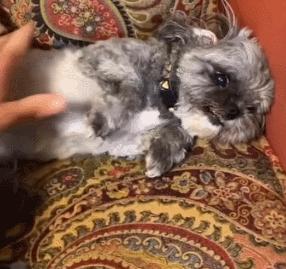 第一次人机大战电影,第一次人机战争