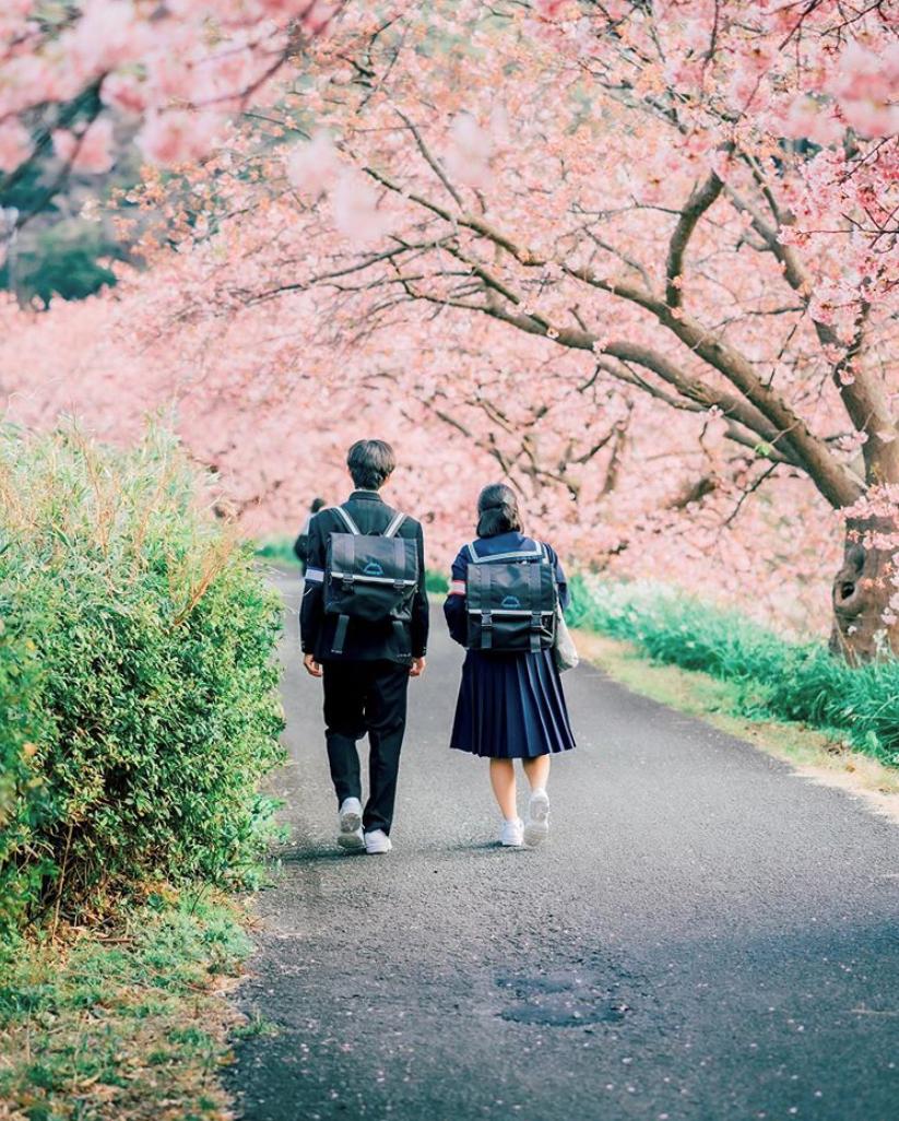 是心动啊，樱樱樱樱樱樱樱樱樱