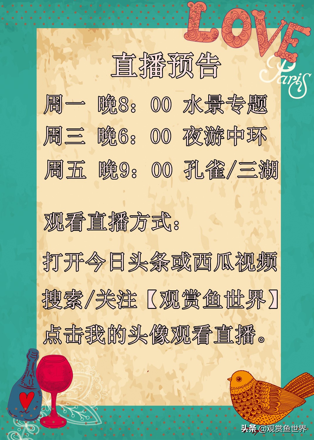 家庭饲养孔雀鱼如何繁殖,热带孔雀鱼观赏鱼怎么养