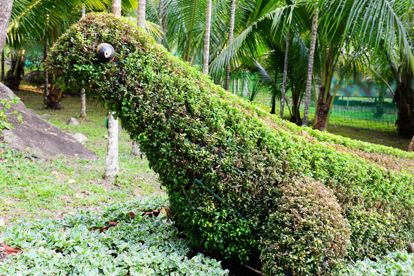 海南呀诺达热带雨林文化旅,三亚诺达雨林旅游攻略