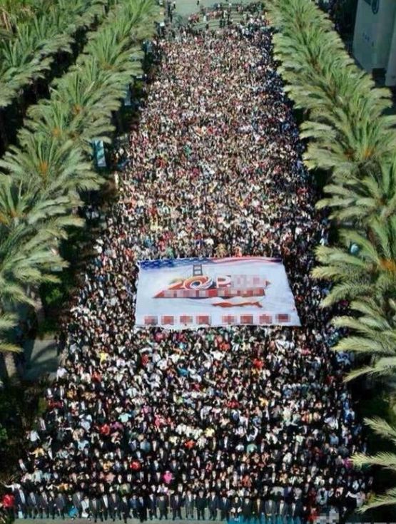 当中国游客宅在家，全球经济面临前所未有的危机