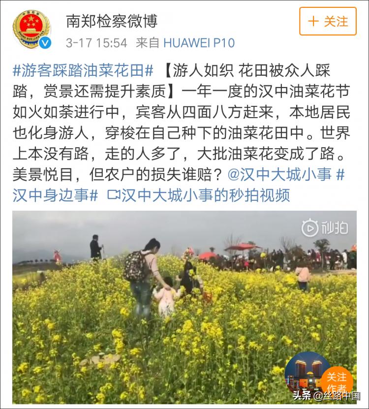 中国油菜花海汉中旅游,汉中旅游油菜花最佳观赏日期