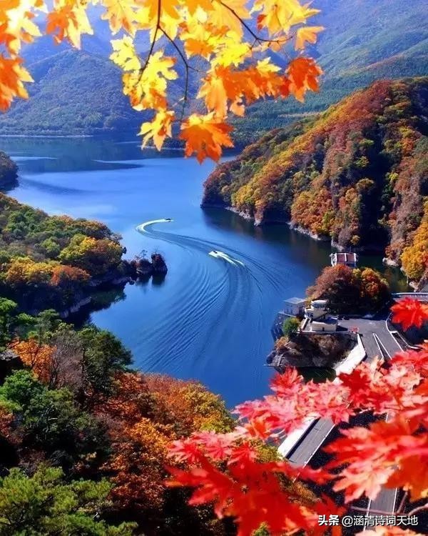 诗词大会寻味飞花令,诗词大会飞花令相思