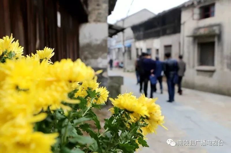 南陵县弋江镇千年古镇简介,南陵千年古镇