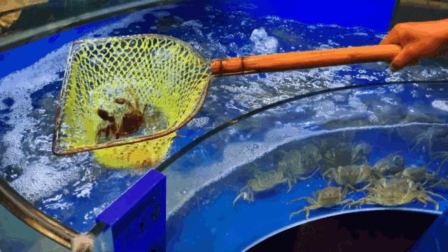 兰州好吃又实惠的海鲜,兰州值得推荐海鲜店