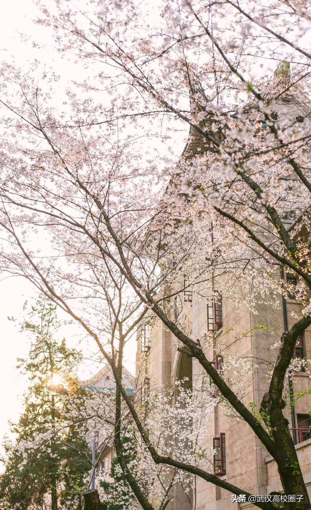 爸妈我想回家视频,爸妈我想回家了原视频