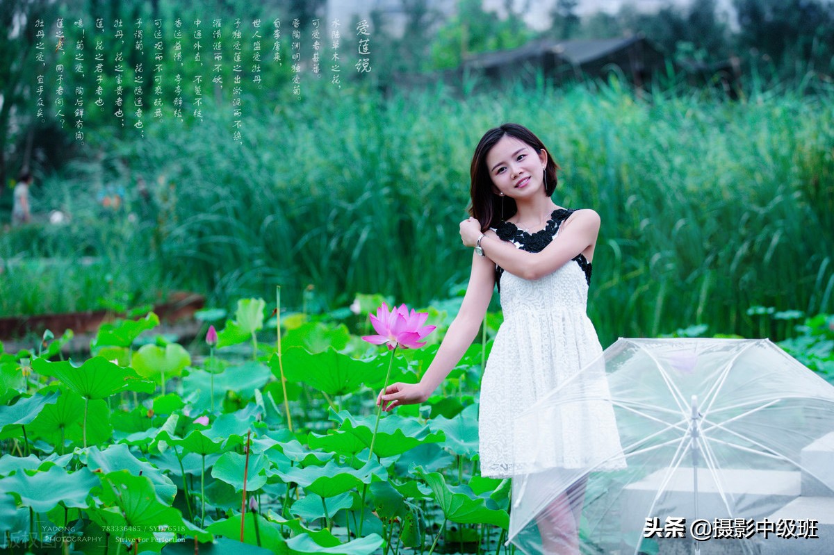 教你拍荷花的4个意境,怎么拍荷花拍照姿势大全