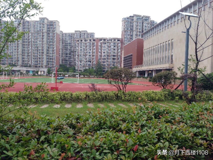 南京这所新校为何底气十足,南京第一所民办学校