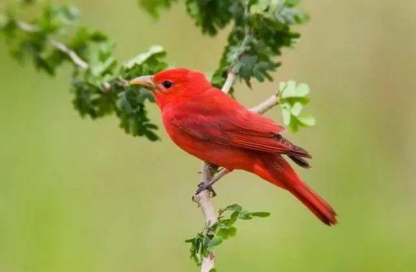 聪明人九大处世原则精辟,做人的七层境界聪明人