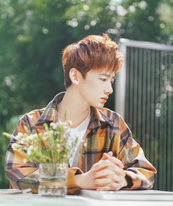 濯清涟而不妖出自哪里,濯清涟而不妖的例子