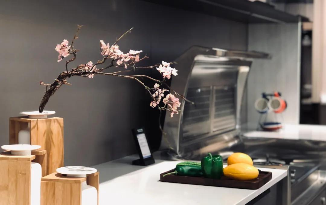 集成灶实用攻略,不知道如何正确选择集成灶