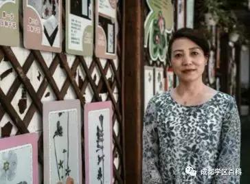 金牛四区和青羊二区,金牛四区和成华四区