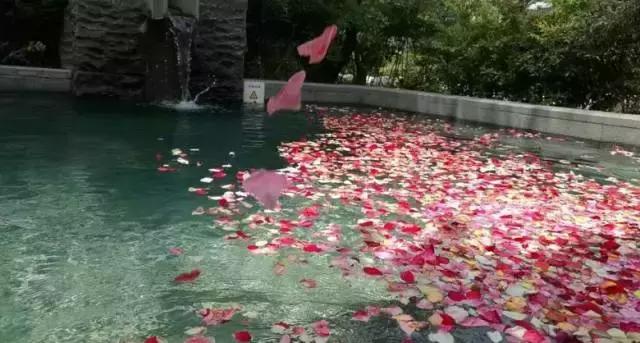 临潼温泉攻略,西安临潼泡温泉攻略