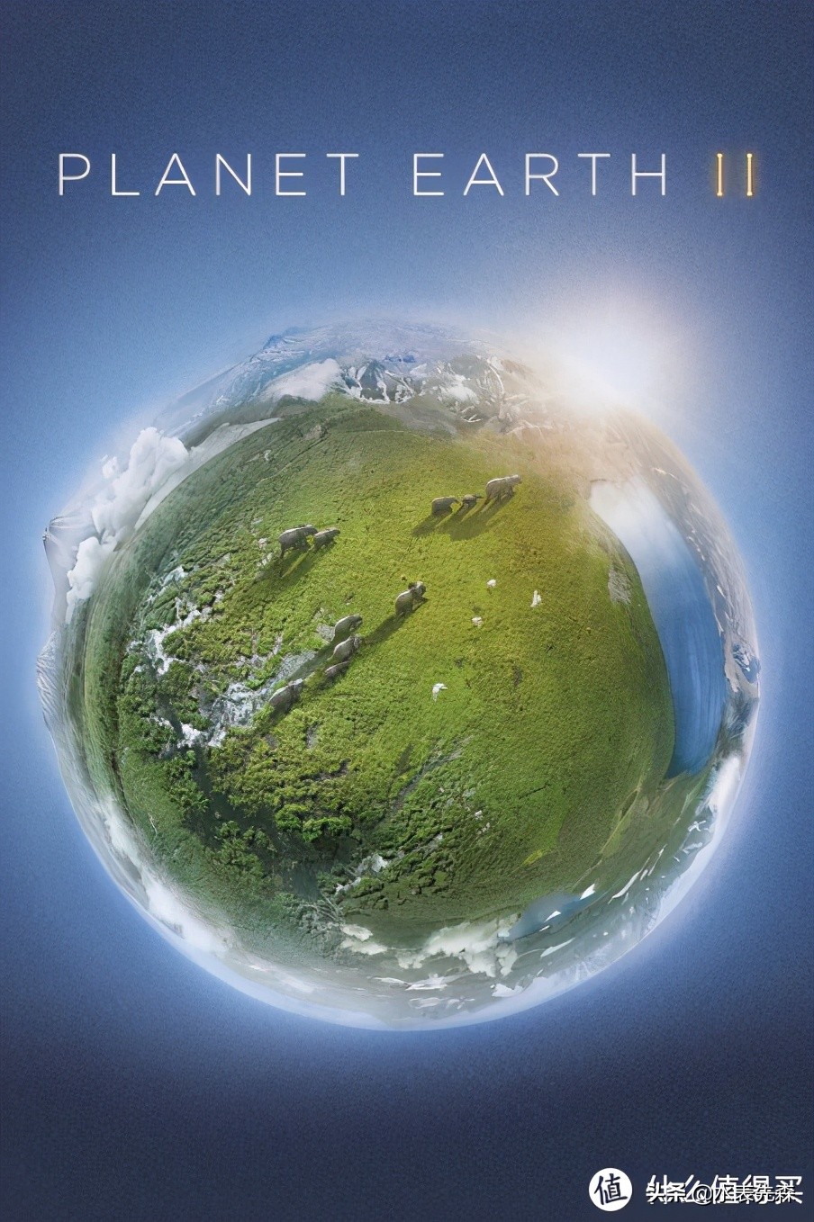 十部必看高分纪录片,十大必看的高分纪录片