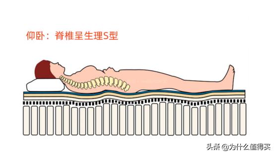 床垫到底怎么选,床垫横评