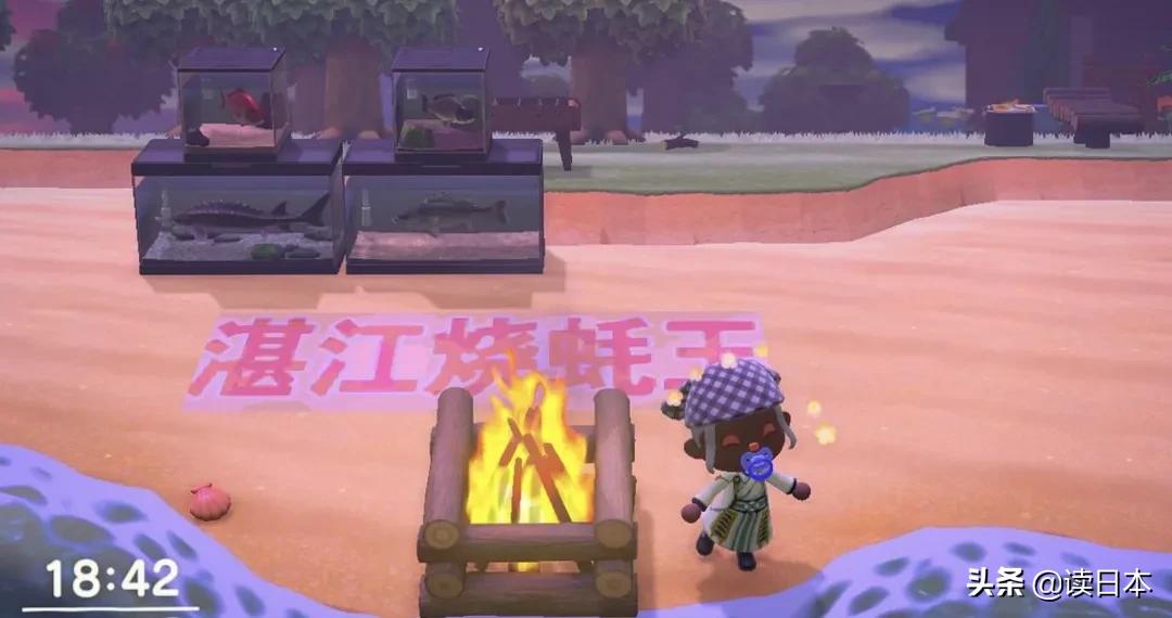 动物森友会的细思极恐的传闻,动物森友会大揭秘