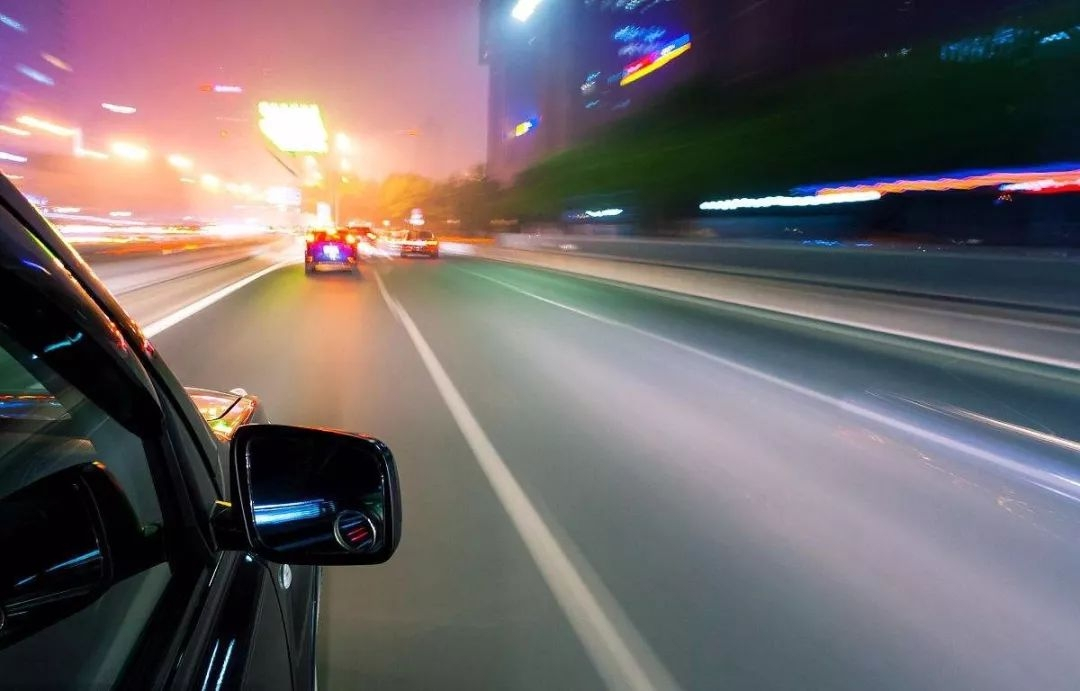 开车撞了小动物怎么处理,开车高速路上撞到小动物怎么化解