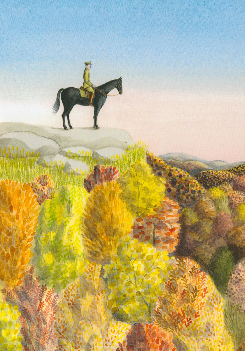 凯迪克金奖《寻找维尼》:小熊维尼的真实故事