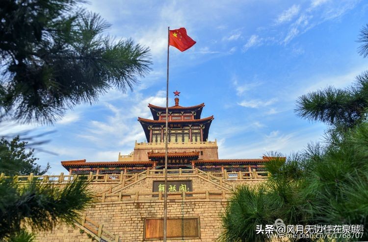 济南的法国梧桐,济南梧桐树美景