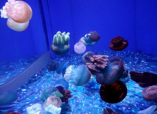 深圳最大的室内游乐场,深圳适合小孩玩的游乐场